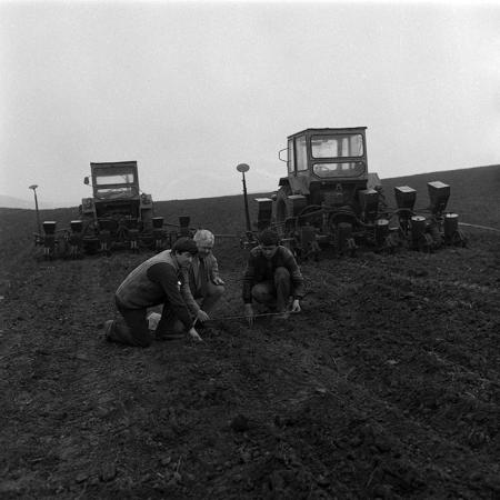 minerva_1988_agrar_c1r1_052