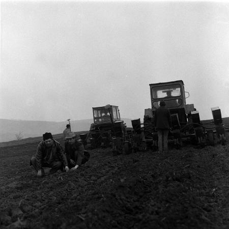 minerva_1988_agrar_c1r1_055