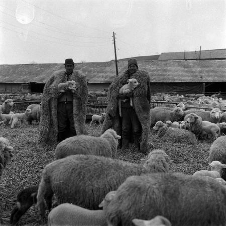 minerva_1988_agrar_c2r1_010