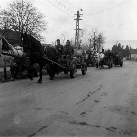 minerva_1988_agrar_c3r1_020