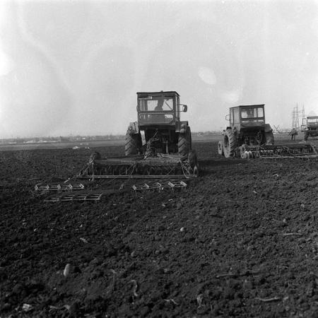 minerva_1988_agrar_c3r3_012