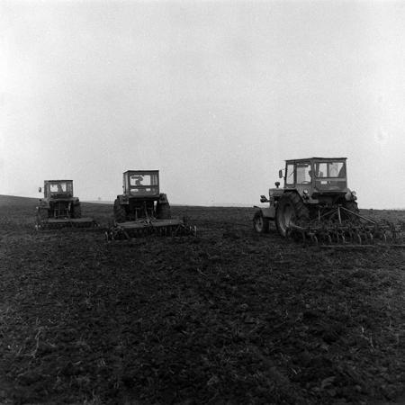 minerva_1988_agrar_c3r4_022