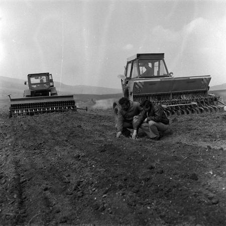 minerva_1988_agrar_c4r1_005