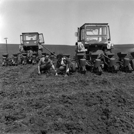 minerva_1988_agrar_c4r1_016