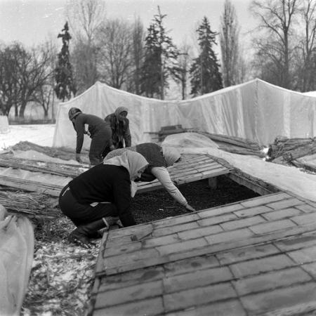 minerva_1988_agrar_c4r3_021