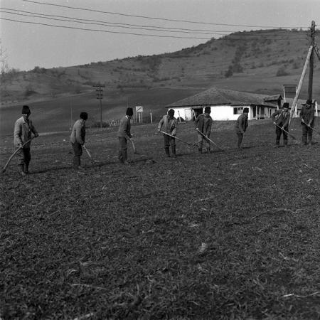 minerva_1988_agrar_c5r3_002