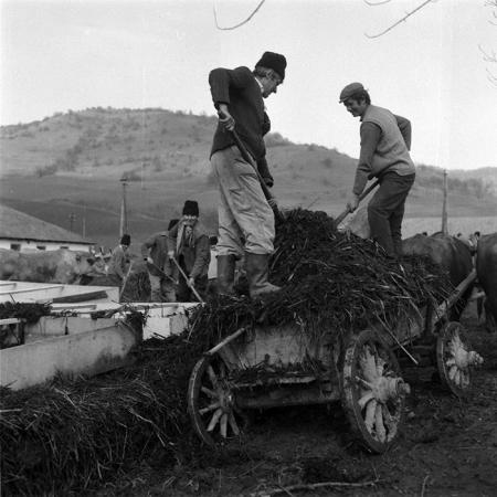 minerva_1988_agrar_c5r3_011