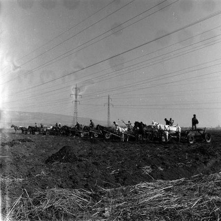 minerva_1988_agrar_c5r3_035