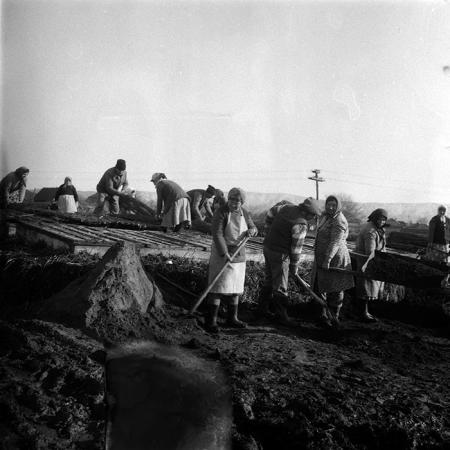 minerva_1988_agrar_c5r3_037