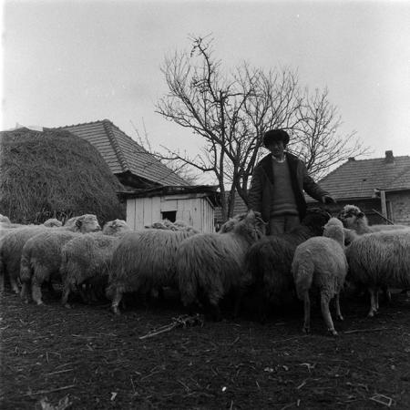 minerva_1988_agrar_c5r5_005