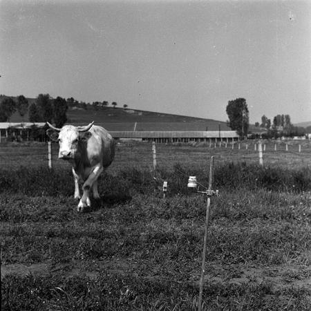 minerva_1988_agrar_c6r1_001