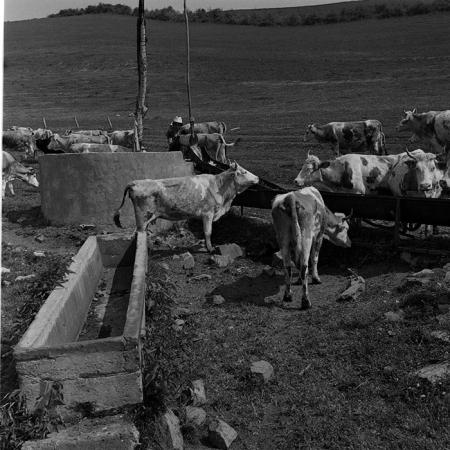 minerva_1988_agrar_c6r1_003