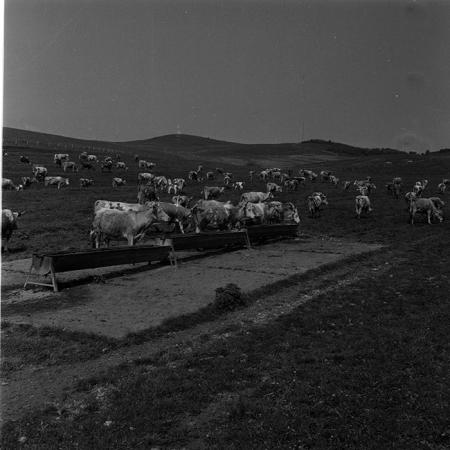 minerva_1988_agrar_c6r1_012