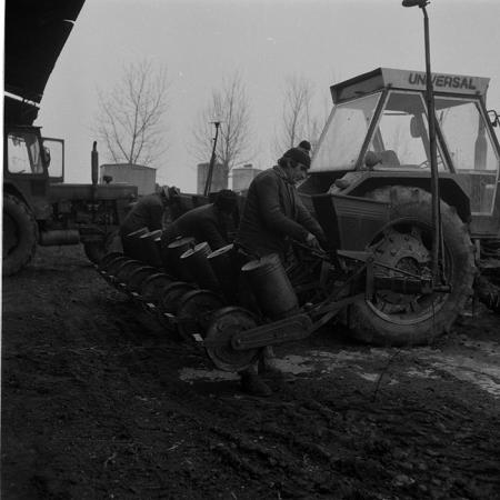 minerva_1988_agrar_c6r2_033