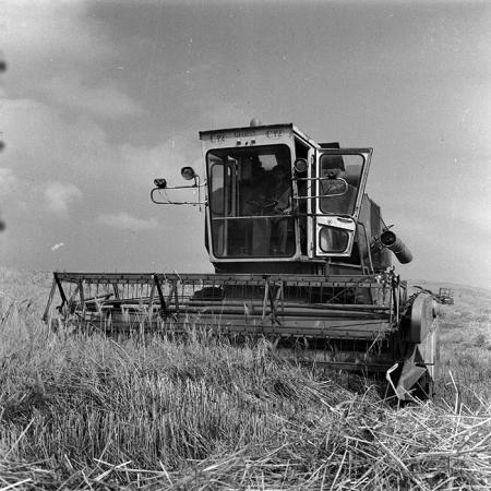 minerva_1988_agrar_c6r3_002