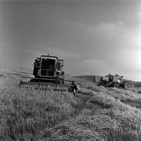 minerva_1988_agrar_c6r3_003