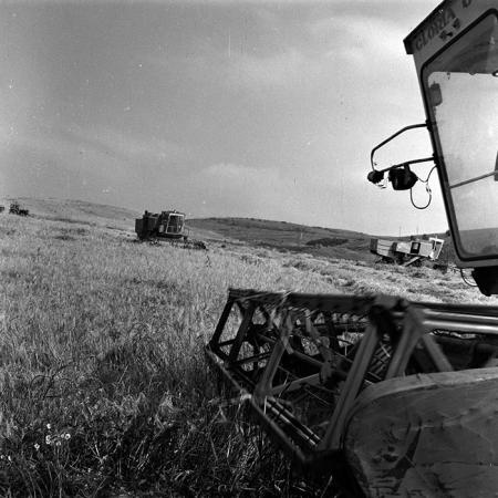 minerva_1988_agrar_c6r3_005