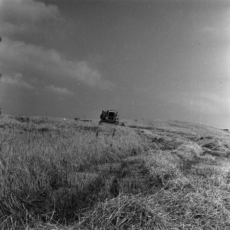 minerva_1988_agrar_c6r3_008