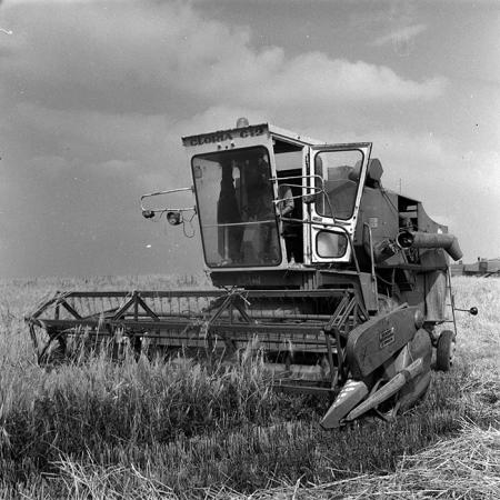 minerva_1988_agrar_c6r3_009