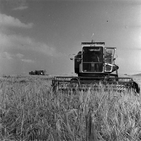 minerva_1988_agrar_c6r3_010