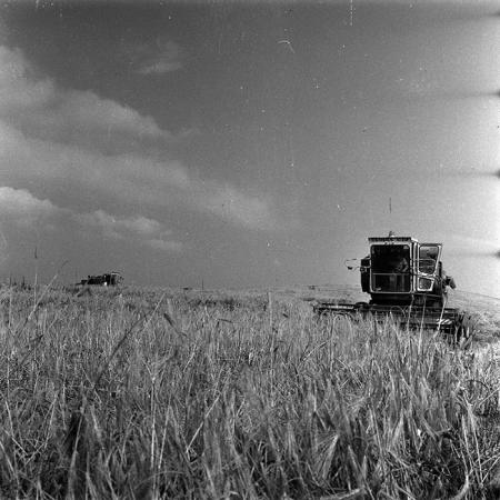 minerva_1988_agrar_c6r3_012