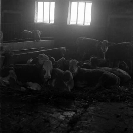 minerva_1988_agrar_c6r5_035