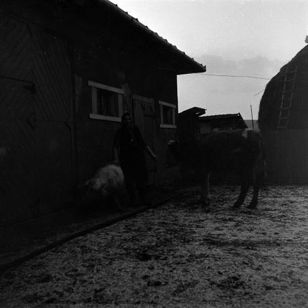 minerva_1988_agrar_c7r3_002