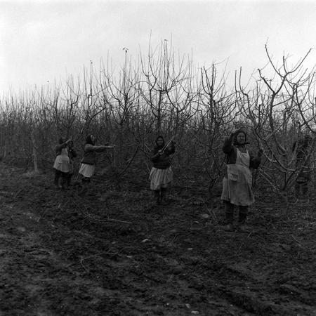 minerva_1988_agrar_c7r3_004