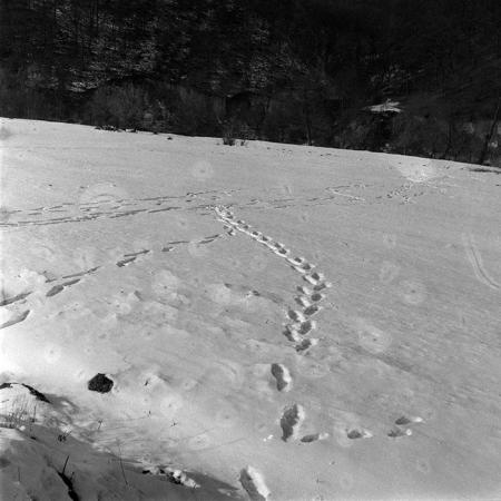 minerva_1988_industrie_c4r16_009