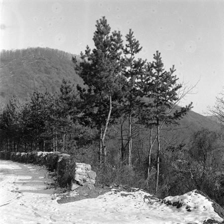 minerva_1988_industrie_c4r18_008