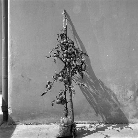 minerva_1988_industrie_c4r22_002