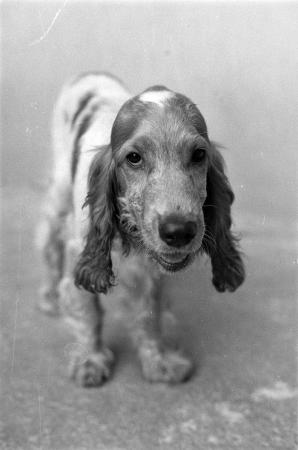 minerva_1988_industrie_c5r3_026