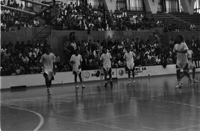 minerva_1988_industrie_c6r3_004