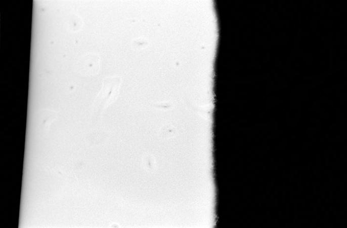 minerva_1988_industrie_c6r9_037