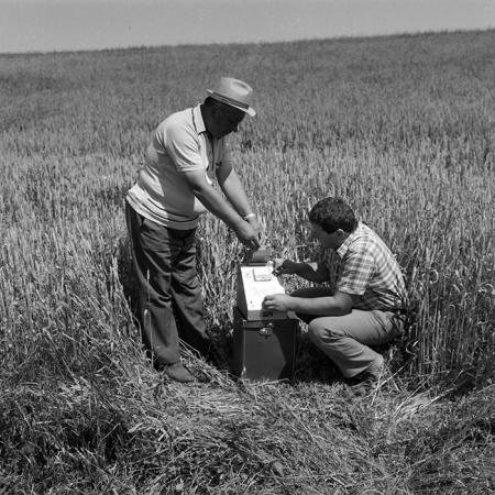 minerva_1988_invatamant_cultura_arta_diverse_c4r3_003