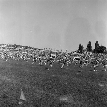 minerva_1988_invatamant_cultura_arta_diverse_c4r4_006