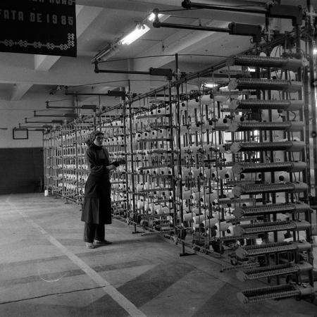 minerva_Agrar_c1_c10r4_001