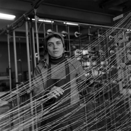 minerva_Agrar_c1_c10r4_002