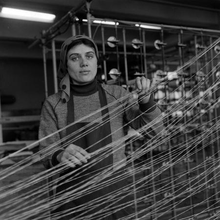 minerva_Agrar_c1_c10r4_003