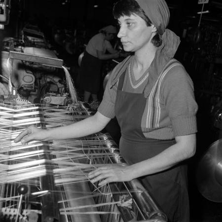 minerva_Agrar_c1_c10r4_005