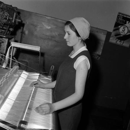 minerva_Agrar_c1_c10r4_008