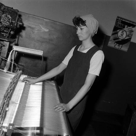 minerva_Agrar_c1_c10r4_009