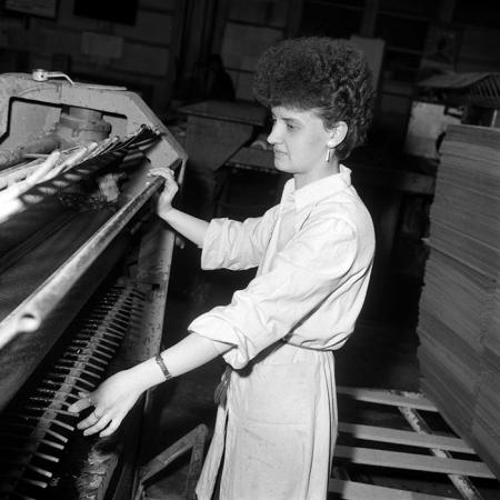 minerva_Agrar_c1_c10r4_014