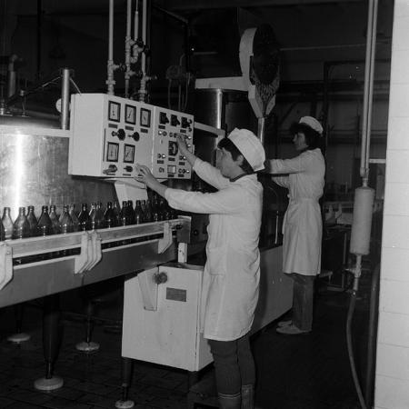 minerva_Agrar_c1_c10r4_019