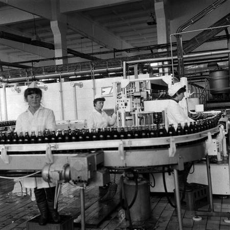 minerva_Agrar_c1_c10r4_023