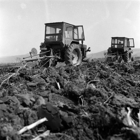 minerva_Agrar_c1_c1r3_009