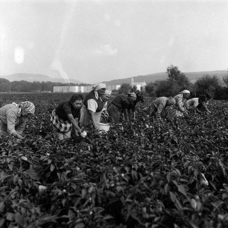 minerva_Agrar_c1_c1r3_012