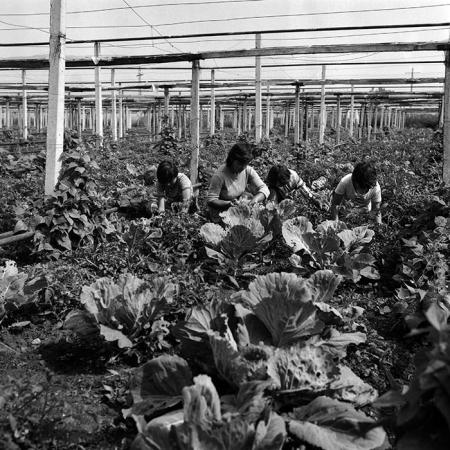 minerva_Agrar_c1_c1r3_016