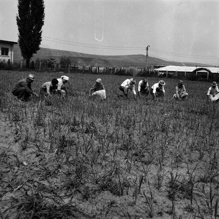 minerva_Agrar_c1_c1r3_022