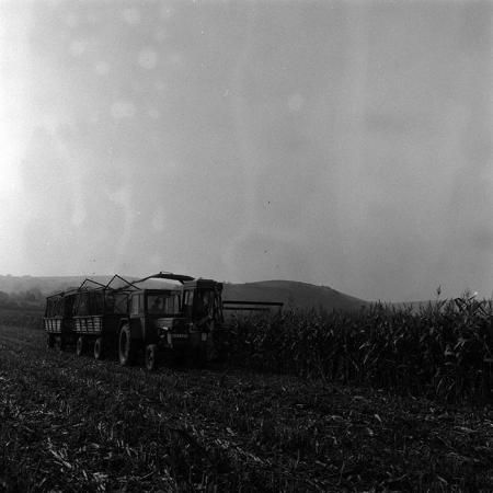 minerva_Agrar_c1_c1r3_025